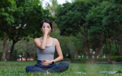 Stress Management Techniques for Everyday Life: A Practical Guide to Well-Being